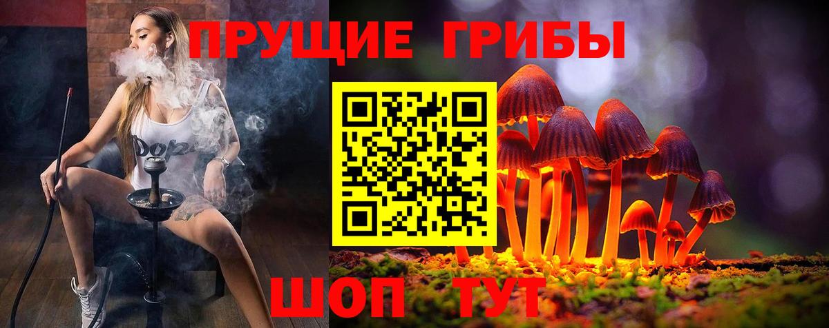 Кандалакша  Псилоцибиновые грибы мухоморы  Вход с VPN 